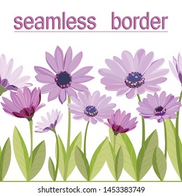 delicate floral seamless border of beautiful lilac and purple daisies on green stems with leaves on a white background
