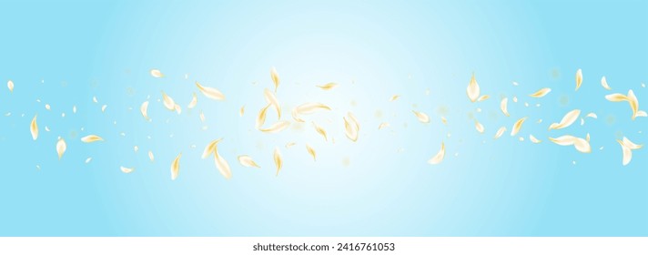 Delicate Floral Summer Vector Panoramic Blue Background. White Fall Rose Template. Beige Peach Falling Cover. Yellow Petal Japanese Texture. Blur Sakura Banner.