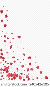 Delicate Floral Summer Vector Transparent Background. Flying Petal Frame. Red Rose Spring Template. Beautiful Sakura Japanese Cover.