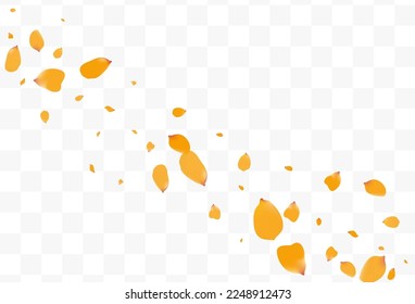 Delicado Vector Floral De Tensión Fondo Transparente. Papel de fondo holandés Peach. Patrón de caída de la flor de limón. Marco de caída de la flor amarilla.