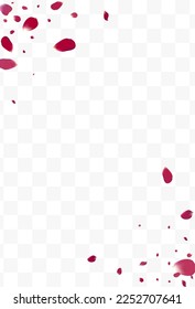 Delicate Floral Tender Vector Transparent Background. Japan Rose Backdrop. Pink Cherry Summer Illustration. Purple Blossom Fly Texture.