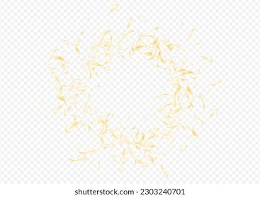 Delicate Floral Tender Vector Transparent Background. White Blur Blossom Backdrop. Beige Petal Beauty Banner. Yellow Lotus Japanese Texture. Flying Rose Illustration.