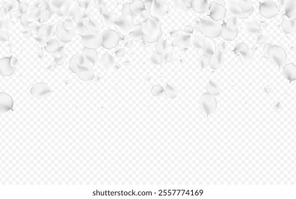 Delicate Floral Vector Transparent Background. White Japan Petal Texture. Japanese Cherry Illustration. Pastel Sakura Fall Cover.