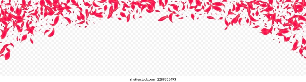 Delicate Floral Vector Transparent Panoramic Background. Fall Petal Texture. Beautiful Peach Japan Banner. Pink Flying Cherry Design.