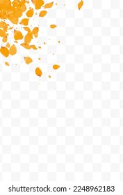 Delicate Flower Beauty Vector Transparent Background. Fly Rose Pattern. Yellow Petal Fall Poster. Lemon Peach Summer Banner.