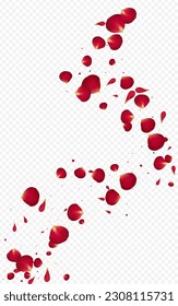 Delicate Flower Beauty Vector Transparent Background. Flying Rose Template. Red Lotus Fall Texture. Beautiful Cherry Spring Design.