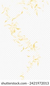 Delicate Flower Beauty Vector Transparent Background. Light Spring Cherry Backdrop. Gold Lotus Blur Wallpaper. Yellow Floral Fly Frame. Japan Rose Texture.