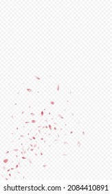 Delicate Flower Blur Vector Transparent Background. Tender Cherry Banner. Red Rose Japanese Cover. Beautiful Blossom Summer Design.