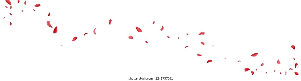Delicate Flower Blur Vector White Panoramic Background. Fall Floral Wallpaper. Red Lotus Fly Design. Pink Sakura Flying Backdrop.
