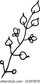 Delicate flower branch on a white background