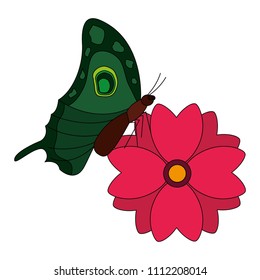 delicate flower and butterfly decoration