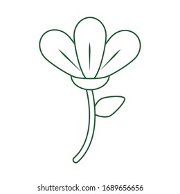 delicate flower decoration ornament. vector illustration line style icon