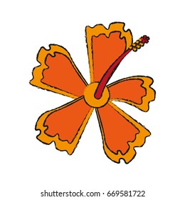 delicate flower draw image
