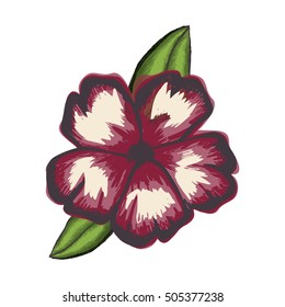 delicate flower drawing icon image 