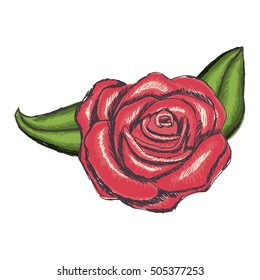 delicate flower drawing icon image 