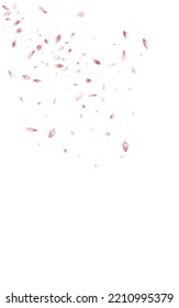 Delicate Flower Fall Vector White Background. Blur Blossom Frame. Pink Floral Summer Illustration. Beautiful Lotus Falling Template.