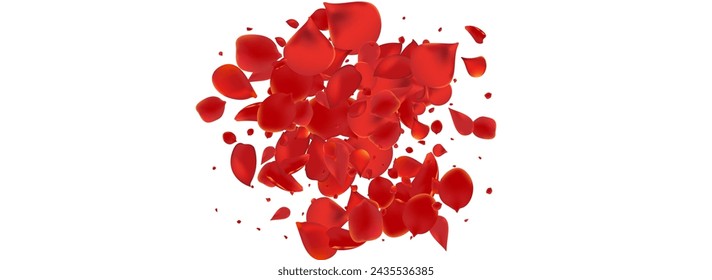 Delicate Flower Falling Vector Panoramic White Background. Flying Peach Pattern. Red Petal Fall Texture. Beautiful Rose Fly Banner.