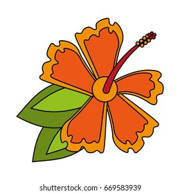 delicate flower flat  image