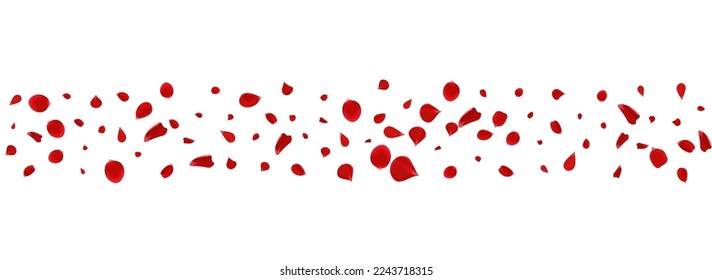 Delicate Flower Fly Vector Panoramic White Background. Japan Sakura Template. Beautiful Petal Blur Banner. Pink Cherry Falling Pattern.