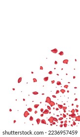 Delicate Flower Flying Vector White Background. Fall Floral Frame. Beautiful Petal Spring Design. Pink Blossom Fly Wallpaper.