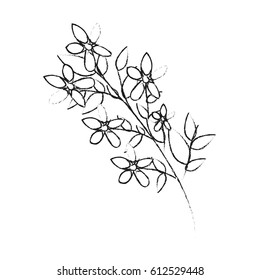 delicate flower icon image 