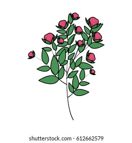 delicate flower icon image 