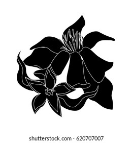 delicate flower icon image 