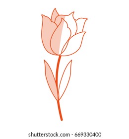 delicate flower icon image