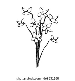 delicate flower icon image