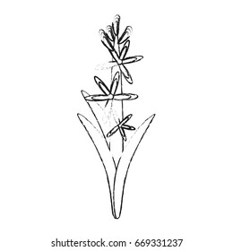 delicate flower icon image