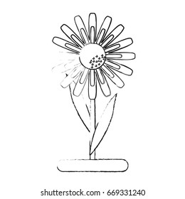 delicate flower icon image
