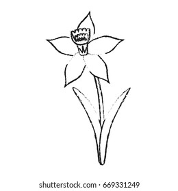 delicate flower icon image