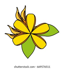 delicate flower icon image