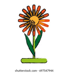delicate flower icon image