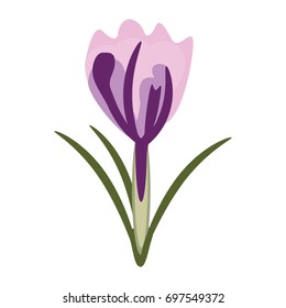 delicate flower icon image
