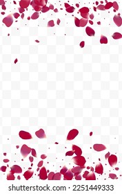 Delicate Flower Japan Vector Transparent Background. Falling Floral Texture. Beautiful Peach Blur Frame. Purple Cherry Flying Banner.