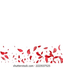 Delicate Flower Japanese Vector White Background. Fall Rose Wallpaper. Pink Peach Blur Cover. Red Lotus Beauty Pattern.