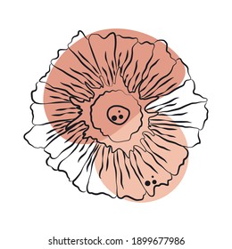 delicate flower nature decoration line art with colored spot vector illustration