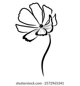 Delicate flower outline with intricate details that showcases elegance and simplicity in black and white. A graceful flower illustration features elongated petals and slender stem. 