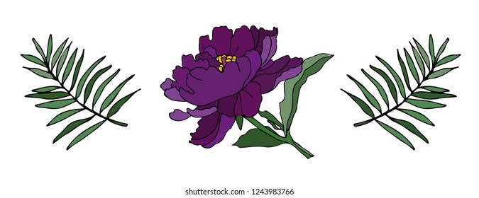 Delicate Flower Peony. Vector illustration. Creative realistic drawing, tattoo. Vintage paintings, postcard, background, wallpaper. Interior decoration, textile. Flowers gift for women