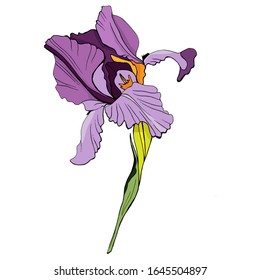 Flor delgada. Iris púrpura. Día de la Mujer. El día de mamá. Imagen vectorial de los tatuajes creativos realistas del doodle. Para tarjetas de felicitación, invitación a boda, decoración interior, tarjetas de visita, folletos