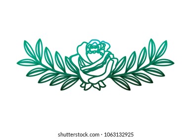 delicate flower rose branches leaves image