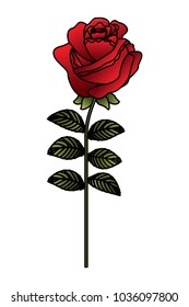 delicate flower rose stem leaves nature decoration