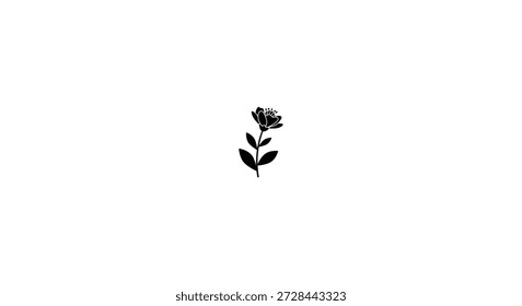 A delicate flower stem with leaves rendered as a striking silhouette