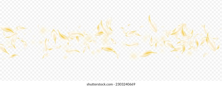 Delicate Flower Summer Vector Panoramic Transparent Background. White Beauty Peach Design. Yellow Blossom Flying Wallpaper. Beige Rose Spring Illustration. Blur Petal Pattern.