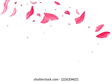 Delicate Flower Tender Vector White Background. Fall Cherry Poster. Beautiful Sakura Beauty Cover. Red Rose Japanese Design.