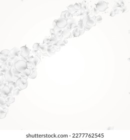 Delicate Flower Vector Light Background. Pastel Tender Petal Poster. Japanese Floral Backdrop. White Rose Summer Texture.