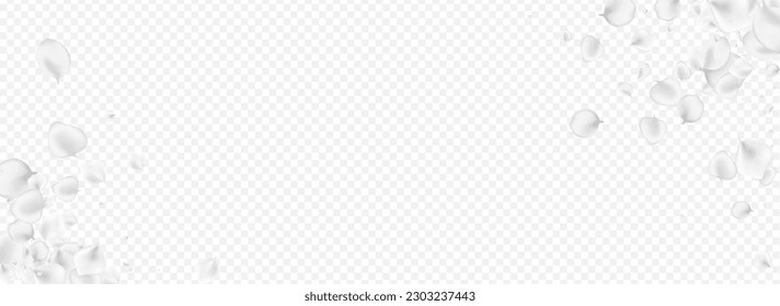 Delicate Flower Vector Transparent Panoramic Background. White Beauty Cherry Pattern. Fall Lotus Banner. Snowy Rose Summer Backdrop.