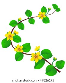delicate flowers on branch blooming in spring time
