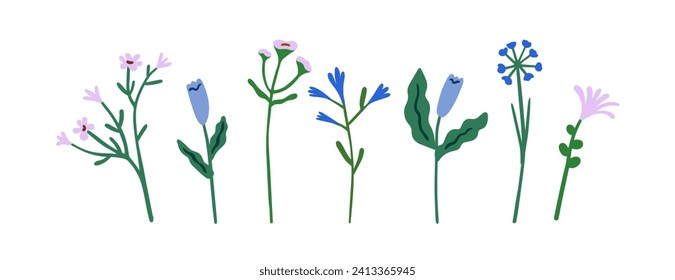 Delicate flowers, stems set. Field herbs, spring meadow floral branches, simple blooms. Gentle blossomed plants. Botanical design elements. Flat vector illustration isolated on white background